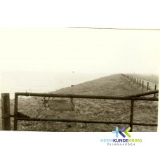 Kwel langs de Gravenwaardse dam 1970 Coll.HKR F0000028